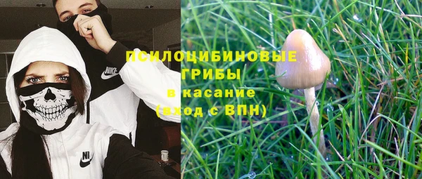 MESCALINE Гусиноозёрск